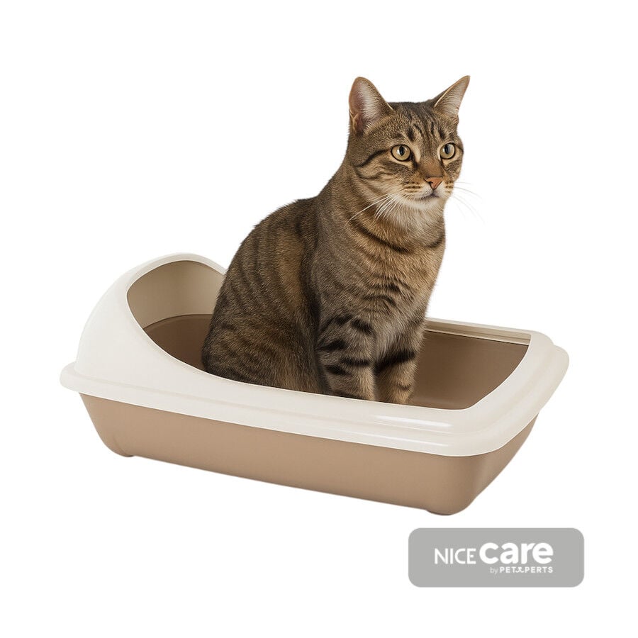 Nice Care Bandeja Sanitaria Birba Cornice Beige para gatos